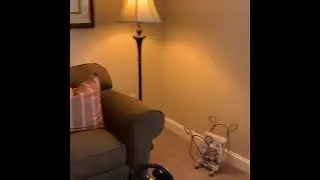 The Reserve at North Dallas -  Dover | Virtual Tour | Senior Lifestyle