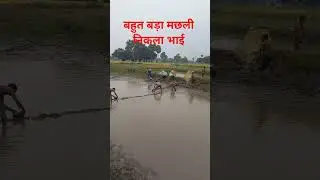 pindra khurd Nadi kinare maraya hai video #trending #viral#youtube #short #video