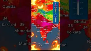 India is burning 🔥🥵 | #india #deforestation #tree #trending #viral