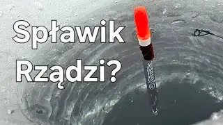 SPŁAWIK czy MORMYSZKA? Sprawdziłem co lepiej łowi w centrum miasta! Wędkarstwo Podlodowe