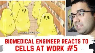 Biomedical Engineer Reacts to Cells at Work #5