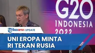 Sosok Vincent Piket, Duta Besar Uni Eropa yang Minta RI Tekan Rusia agar Hentikan Perang di Ukraina