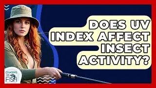 Does UV Index Affect Insect Activity? - Chasing Big Fish