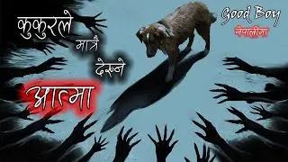 कुकुरले मात्रै देख्ने आत्मा Horror Movie Explained In Nepali By Tales Of Cinema
