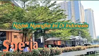 Kayak Di luar Negeri, Nggak Nyangka Spot Wisata Ini Adanya Di Bekasi. Danau Summarecon