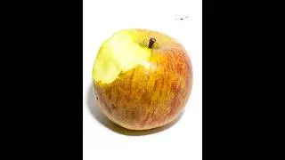 Rotting Apple Timelapse #Shorts