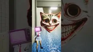 Телеведущая закрывает ворота, SmileCat говорит 