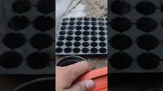 Soil Mixture for Winter Flowers & Vegitable Seeds Germination 😀#shorts #winterflower #gardeningtips