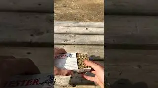 Oddly Satisfying 9MM Winchester White Box Ammo Video #shorts