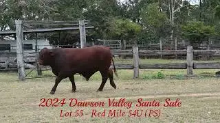 Dawson Valley Santa Sale Lot 55  Red Mile 54U