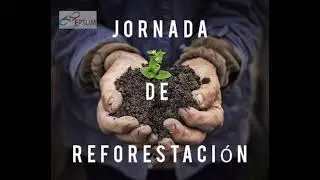 Pauta ambiental