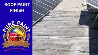 How to Prime and Paint a Flat Roof for Maximum Longevity