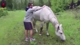 Memes DZ compilation 😂| أقوى تجميعة ميمز جزائرية