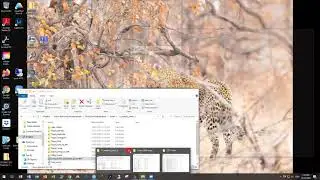 03 Importing data into R