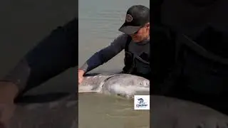 Fish in the sea The sea is large. I love to catch Big fish!Fishing tips and tricks 