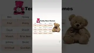 Teddybj&oslash;rn navn y s&oslash;t