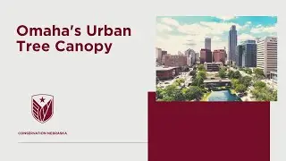 Omaha's Urban Tree Canopy