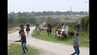Encierro a caballo en Bañobárez