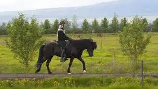 Hr&iacute;&eth; fr&aacute; H&aacute;b&aelig; sumar 2018