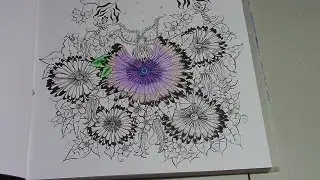 ADULT coloring for stress relief #coloryourhoard Fairies In Dreamland   Deli Pencils