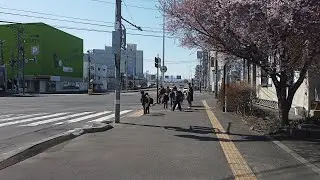 【4K】2021 日本 北海道 札幌市 豊平区 美園 → 平岸 → 中の島 散策【Binaural Audio】