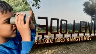 Vellode Bird Sanctuary