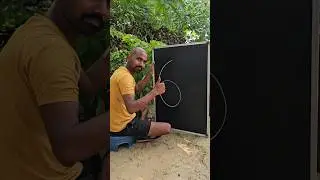 How to draw Cock easy tricks with Number 6 art drawing step... #shorts