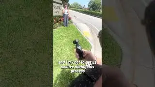🎥 Behind the Scenes: Neighborhood Tours