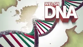 DNA of the Dragon: Wales' Genetic Journey