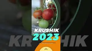 KRUSHIK Live Demo Agri Expo | 19-23 Jan 2023 | KVK Baramati