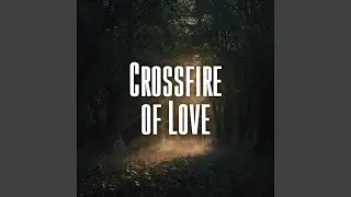 Crossfire of Love