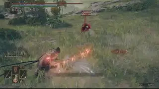 Bloodhound Dash DUEL Elden ring pvp