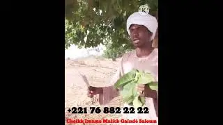 CHIEKH IMAME MALICK GA&Iuml;ND&Egrave; SALOUM SECRET  BOU AM SOLO SI KEUR LAY WAKHE NI