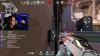 Live Challenge Run: One Death and the Entire Game Gets Reset.