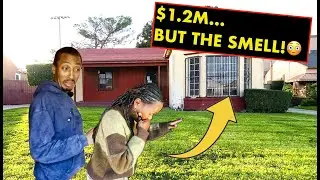 Is It Worth It?: $1.2M &mdash; Gut It All or Save the Character? 👀