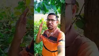 চাকরি করি পাশাপাশি ফেসবুকে কাজ করি অনেকের অজানা | robel tech comedy