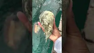 DIY Fishing Projects: Creative Techniques for Unique Results  #fishingtipsandtechniques