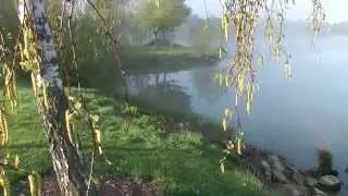 Ferry Meadows Country Park - Peterborough