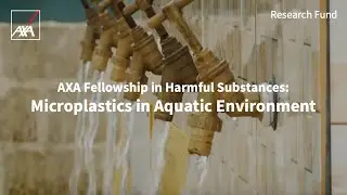 AXA Fellowship | Mitigating the threats of microplastics in aquatic environment | AXA Research Fund