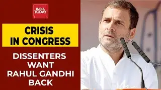 Congress Leadership Crisis: Dissenters Want Rahul Gandhi Back As Congress President | Breaking News