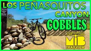PQ &ldquo;COBBLES&rdquo; (Full Pull)