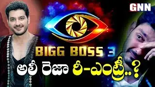 Ali Reza Re-Entry into Bigg Boss 3 Telugu | Ali Reza Wild Card Entry | GNN TV TELUGU