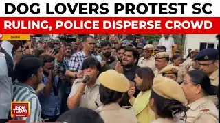 Dog Lovers Protest SC Ruling on Relocation; Police Disperse Crowd Amid Round-ups