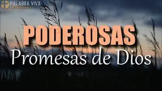 Versículos Bíblicos que cambiaran tu día | Promesas de Dios | Recibe Paz y Fe con la Palabra de Dios