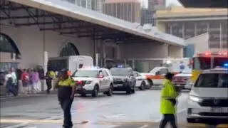 &lsquo;It&rsquo;s the driver&rsquo;s responsibility&rsquo; | Looking at CDL requirements after deadly Honolulu