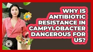 Why Is Antibiotic Resistance In Campylobacter Dangerous For Us? - Food Safety Kitchen