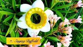 Lush Thailand : Singing Daffodil 🌼 Bubble Bar (Easter 2021) | Demo