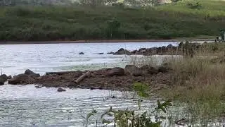 Lake Napalit (Pigtauranan Lake) - Bukidnon