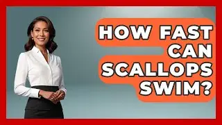 How Fast Can Scallops Swim? - The Marine Life Explorer