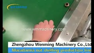 Automatic Macadamia nut shelling Production line
